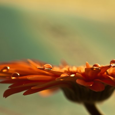 1920 x 1080 HD Wallpapers 1645